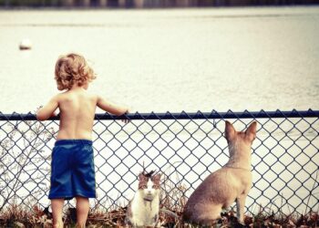 Unveiling the Unanswered: Exploring Compelling Questions to Ignite Curiosity and Drive Engagement