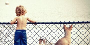 Unveiling the Unanswered: Exploring Compelling Questions to Ignite Curiosity and Drive Engagement