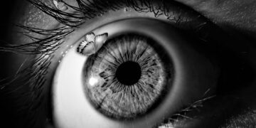 Unlocking the Power of Curiosity: Engaging Learning Activities for Lifelong Discovery