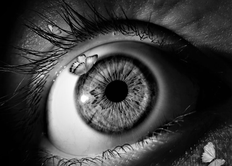 Unlocking the Power of Curiosity: Engaging Learning Activities for Lifelong Discovery