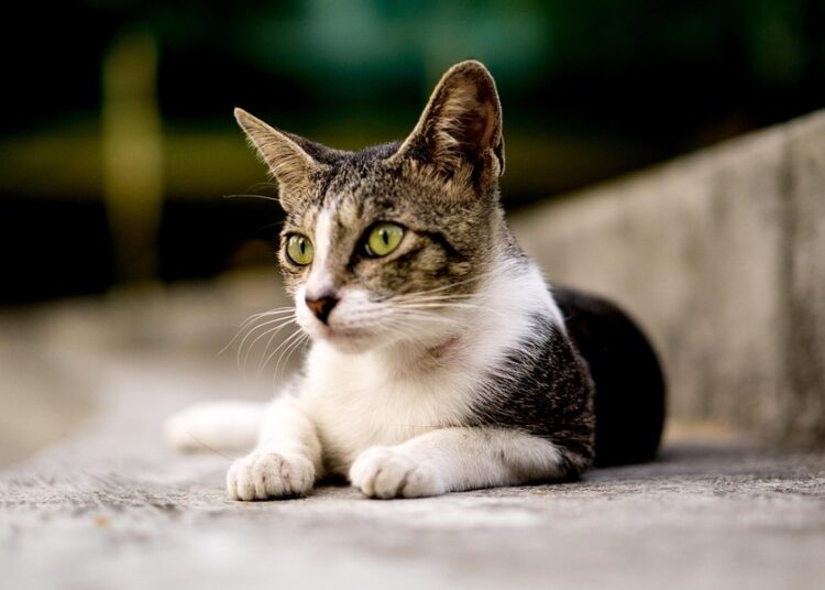 The Secrets of Intriguing Living: Uncover the Key to a Fulfilling Life