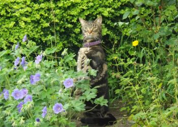 Unleashing the Power of Curiosity: A Guide to Innovative Education Practices