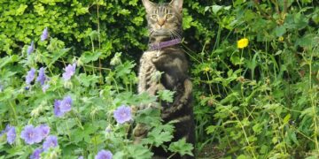 Unleashing the Power of Curiosity: A Guide to Innovative Education Practices