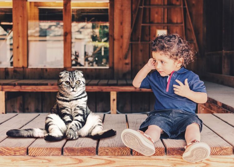 Uncover the Mind-Blowing Truths: 10 Amazing Facts That Will Leave You Speechless