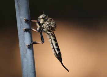 Uncovering Hidden Gems: 10 Little-Known Facts That Will Amaze You