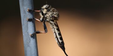 Uncovering Hidden Gems: 10 Little-Known Facts That Will Amaze You