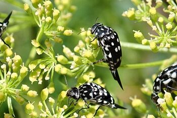 The Surprising Secrets: Uncovering Curious Information That Will Leave You Speechless