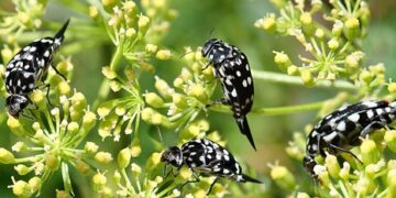 The Surprising Secrets: Uncovering Curious Information That Will Leave You Speechless