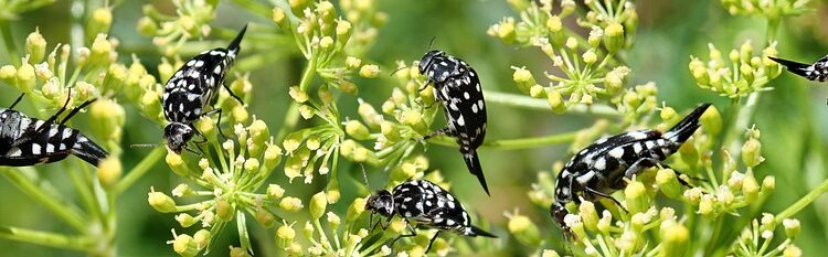 The Surprising Secrets: Uncovering Curious Information That Will Leave You Speechless