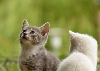 Embrace the Extraordinary: Unlocking the Secrets of Unique Living