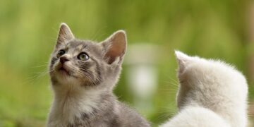 Embrace the Extraordinary: Unlocking the Secrets of Unique Living