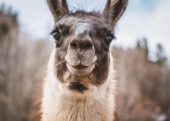 Unbelievable Living: Transforming Your Space with Innovative Design Ideas