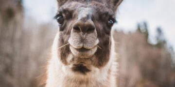 Unbelievable Living: Transforming Your Space with Innovative Design Ideas