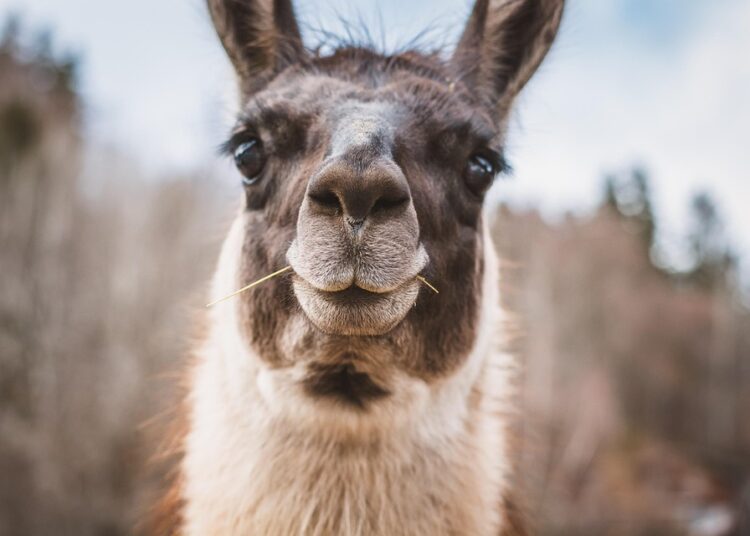 Unbelievable Living: Transforming Your Space with Innovative Design Ideas