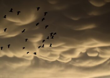 Uncovering the Hidden: Fascinating Facts That Will Intrigue You