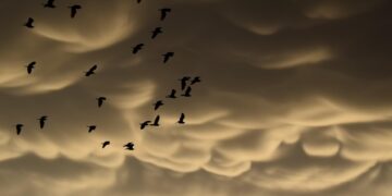 Uncovering the Hidden: Fascinating Facts That Will Intrigue You