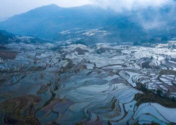 Revolutionary Discoveries Unveiled: Breaking Ground in Science and Innovation