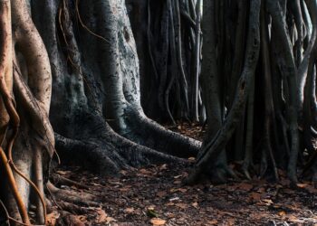 Unveiling Hidden Gems: 10 Surprising Little-Known Facts You Didn’t Know