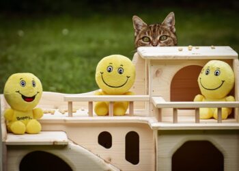 Embracing the Chaos: How Random Living Can Lead to Joy and Fulfillment