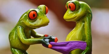 Unleashing the Power of Curiosity: Engaging Learning Activities for Lifelong Learners