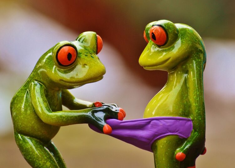 Unleashing the Power of Curiosity: Engaging Learning Activities for Lifelong Learners