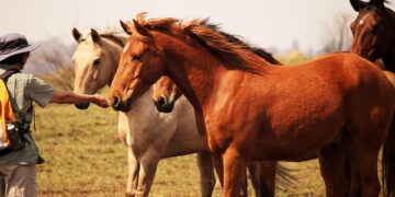 The Power of Curiosity: Igniting a Love for Lifelong Learning