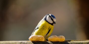 Unlock Your Child’s Curiosity with These Fun and Educational Learning Activities