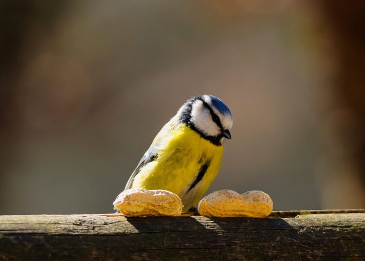 Unlock Your Child’s Curiosity with These Fun and Educational Learning Activities