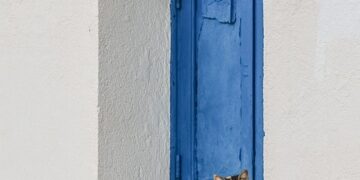 Unlocking the Power of Curiosity: A Hands-On Learning Adventure