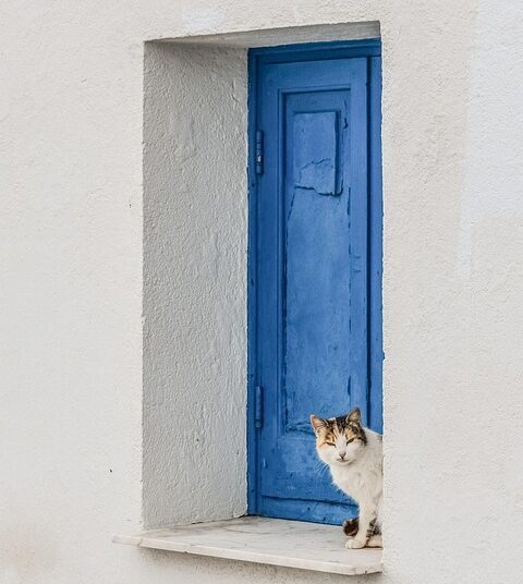 Unlocking the Power of Curiosity: A Hands-On Learning Adventure